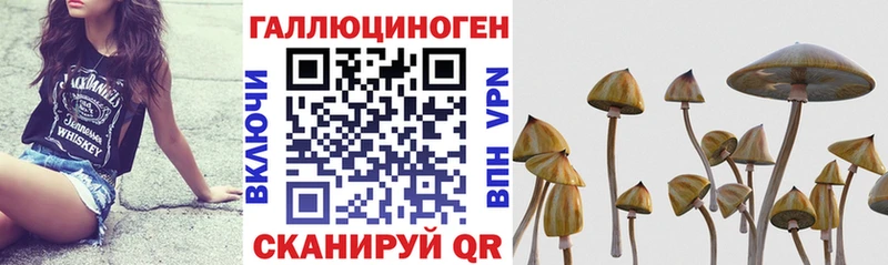 Галлюциногенные грибы MAGIC MUSHROOMS  Иркутск 